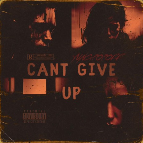 Cant give up | Boomplay Music
