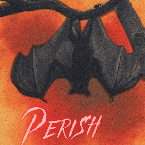 Perish | Boomplay Music