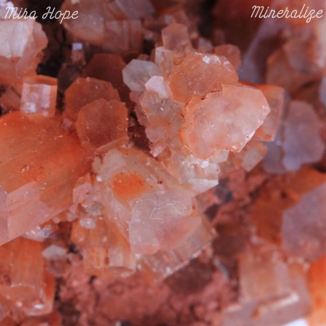 Mineralize
