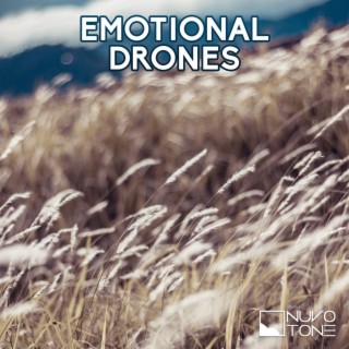 Emotional Drones