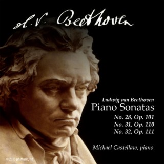 Beethoven Piano Sonatas: Vol. 1