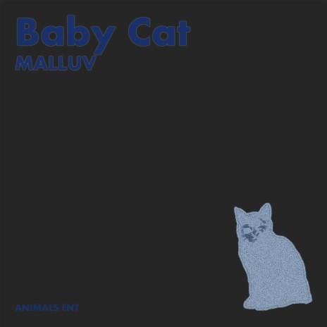 Baby Cat | Boomplay Music