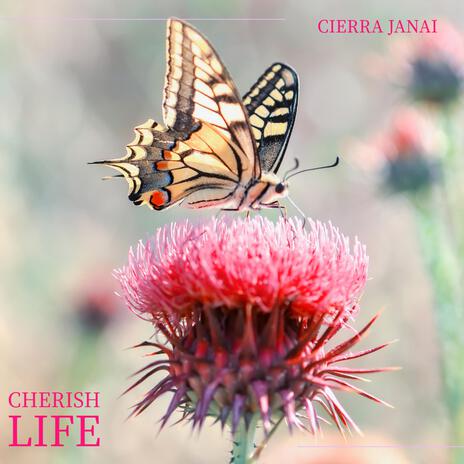 Cherish Life | Boomplay Music