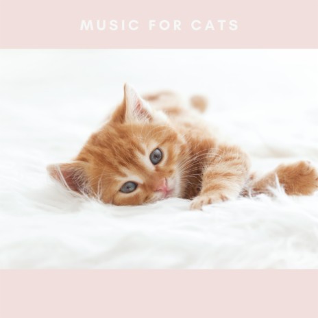 Sleeping Music For Cats