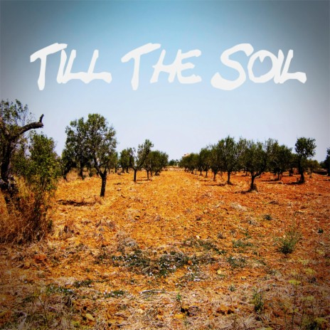 Till The Soil ft. Asante Amen | Boomplay Music