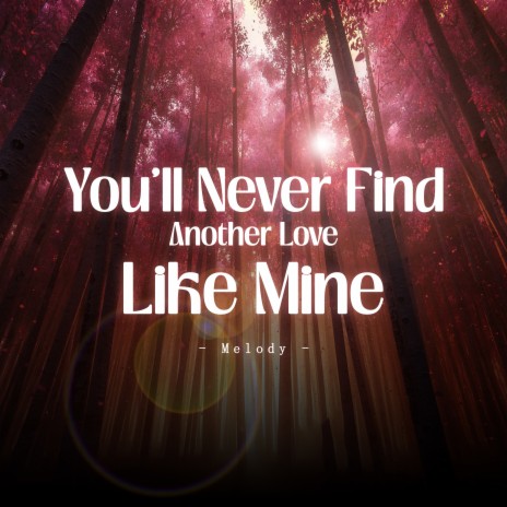 You'll Never Find Another Love Like Mine (Melody) | Boomplay Music