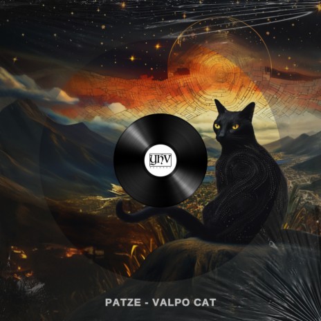 Valpo Cat (Original Mix) | Boomplay Music