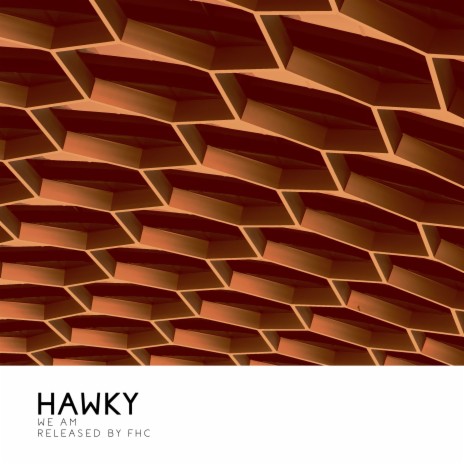 Hawky | Boomplay Music