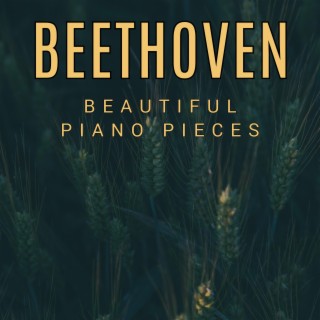 Beethoven - Beautiful Piano Works