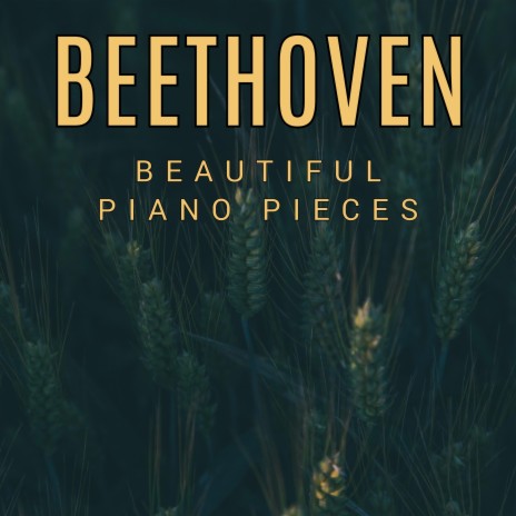 Piano Sonata No.8 in C minor 'Pathétique' Op.13- 3rd-mov: Ludwig van Beethoven ft. Aarav Lloyd