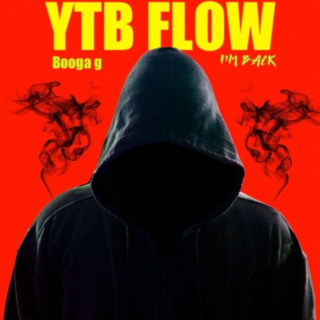 YTB Flow (I’m back) | Boomplay Music