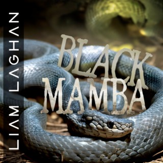 Black Mamba