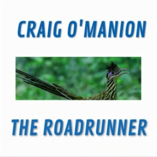 The Roadrunner