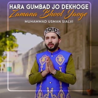 Hara Gumbad Jo Dekhoge Zamana Bhool Jaoge