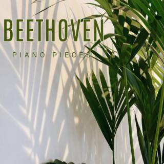 Beethoven - Beautiful Piano Pieces