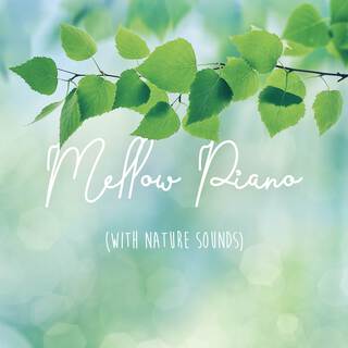 Mellow Piano