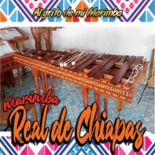 Marimba Real De Chiapas
