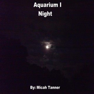 Aquarium I: Night