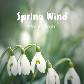 Spring Wind