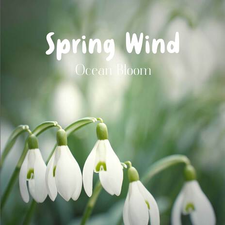 Spring Wind | Boomplay Music