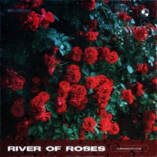 River Of Roses