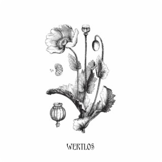 Wertlos lyrics | Boomplay Music