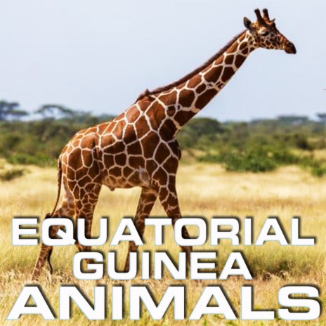 Equatorial Guinea Animals ft. Animal Planet FX, Animal Planet Soundscapes, Nature Sounded, FX Effects & Wild Animals Ambience | Boomplay Music