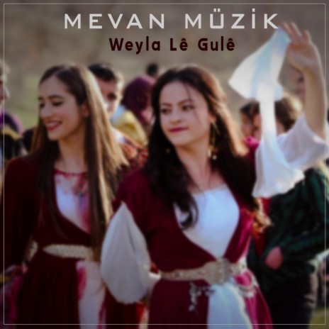 Weyla Lê Gulê Halay Gowend ft. Mevan Müzik | Boomplay Music