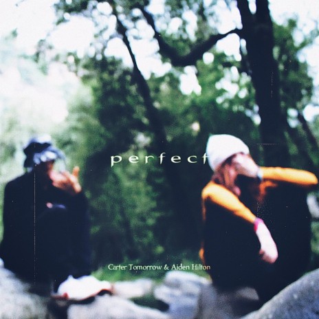 perfect ft. Aiden Hilton | Boomplay Music