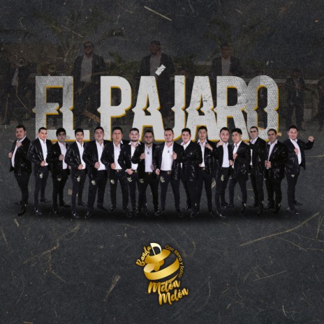 El Pájaro | Boomplay Music