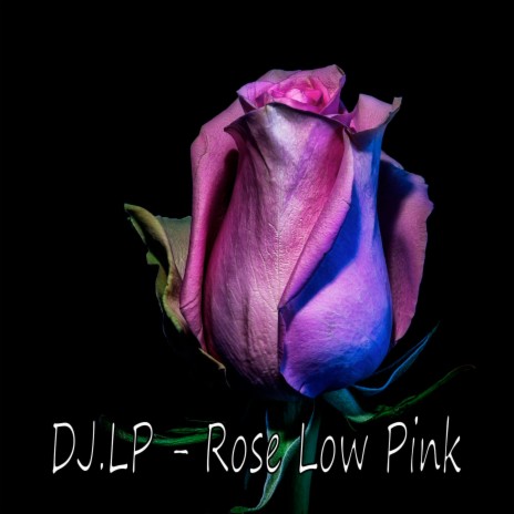 Rose Low Pink | Boomplay Music