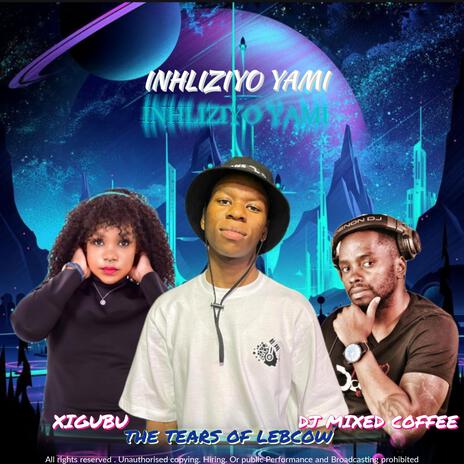 Inhliziyo ft. Xigubu & Dj Mixed coffee | Boomplay Music