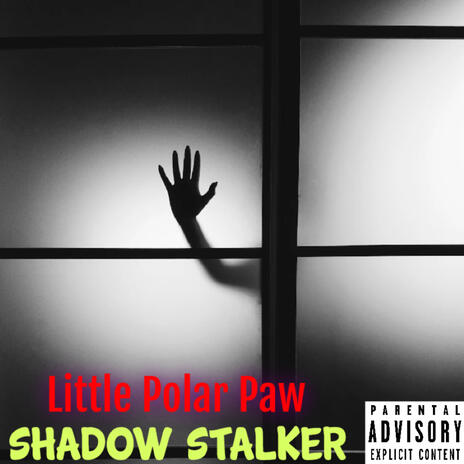 Shadow Stalker | Boomplay Music