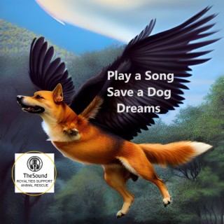 Play a Song Save a Dog Dreams