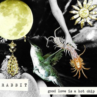 good love is a hot chip