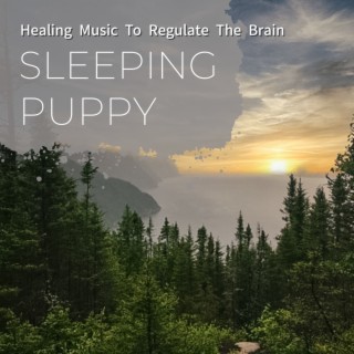 Healing Music to Regulate the Brain