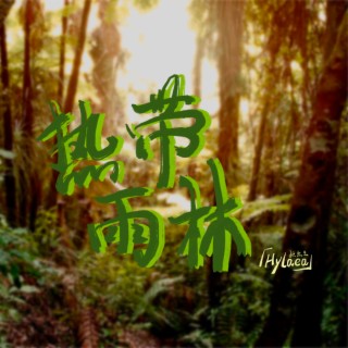 热带雨林 lyrics | Boomplay Music