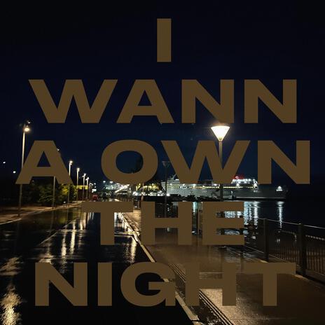 I WANNA OWN THE NIGHT | Boomplay Music