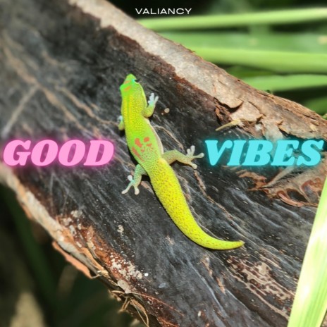 Good Vibes | Boomplay Music