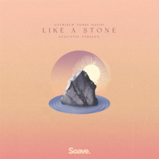 Like A Stone (Acoustic Version)