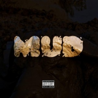 Mud