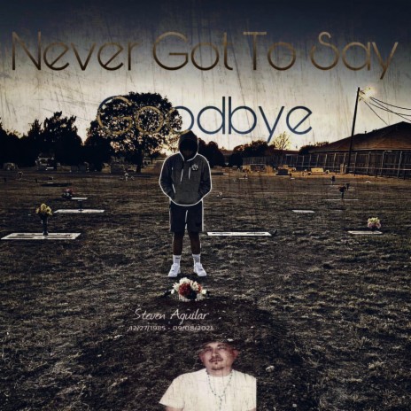 Never Got To Say Goodbye | Boomplay Music