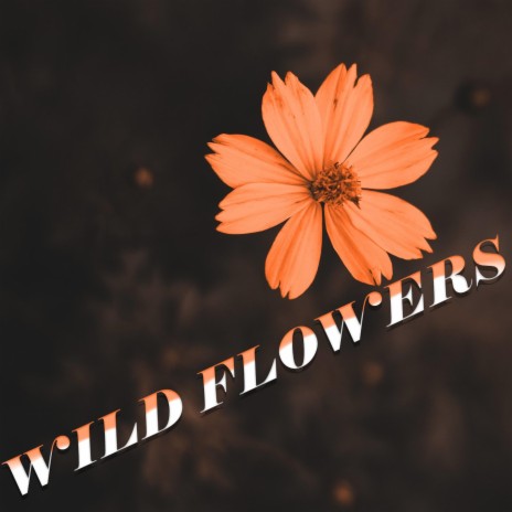 wild flowers | Boomplay Music