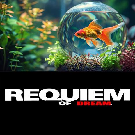 REQUIEM OF DREAMz | Boomplay Music