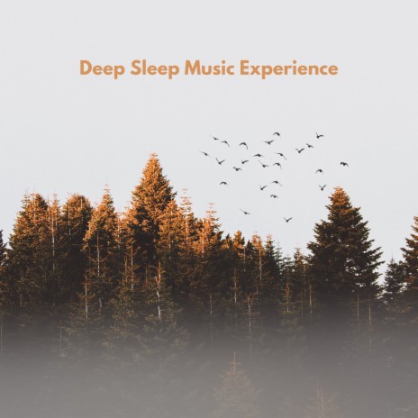Memory Arc ft. Deep Sleep Meditation & Deep Sleep Music Experience | Boomplay Music