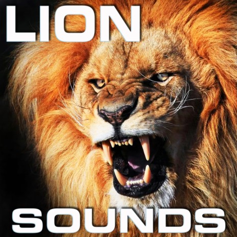 Lion Sounds ft. Animal Planet FX, Animals Nature Sounds, Tiger Sounds, Animal Planet Soundscapes & Animal Planet Ambience