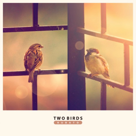 Two Birds | Boomplay Music