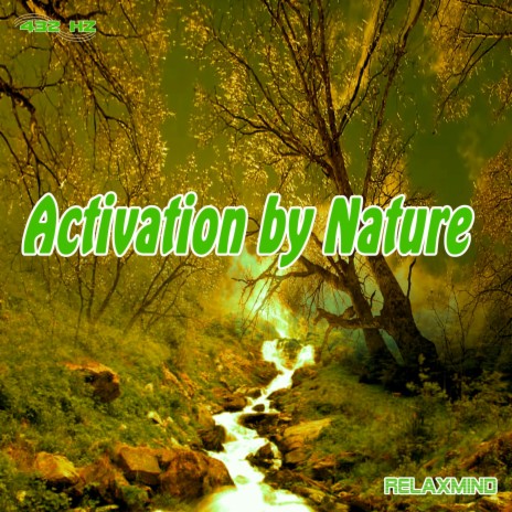 Healing with Nature Music Phase 7 | Boomplay Music