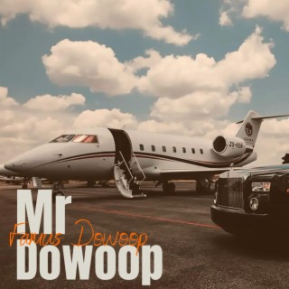 Mr. Dowoop