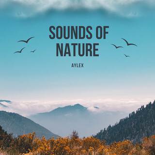 Sounds of Nature